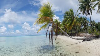 Seychellen Urlaub 2021 Reise Highlights kurz Doku  die wichtigsten Sehenswürdigkeiten in Paradies 🌴 [upl. by Gaspar]