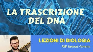 La Trascrizione  Lezioni di Biologia [upl. by Dorree]