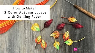 How to Make 3 Color Autumn Leaves with Quilling Paper  Quilling for Beginners [upl. by Elleon]