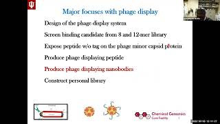 RNA and DNA Phage Display Systems and Their Application in the CGCF [upl. by Odin52]