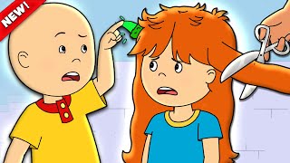 Rosies Haircut  Caillou Cartoon [upl. by Nielsen573]