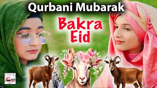 Qurbani Mubarak Bakra Eid  Dadi Amma Dadi Amma  Eid Al Adha amp Hajj Mubarak HiTech Islamic Naat [upl. by Hercule70]