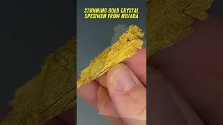 Stunning Gold Crystal Specimen from Nevada shortsvideo shorts [upl. by Bensen]