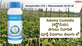 Adama Custodia అడామా కస్టోడియా Fungicide in Telugu  Software Engineer Farming [upl. by Gillmore897]