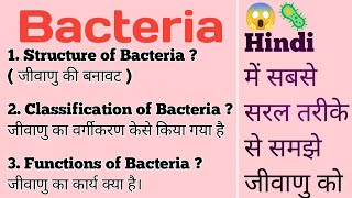 Bacteria Structure Classification Functions  हिंदी  जीवाणु का वर्गीकरण और कार्य हिंदी में [upl. by Maurine]