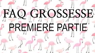 18  FAQ Ma GROSSESSE Première partie  Moi ma vie mes projets et le bébé [upl. by Darelle]