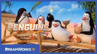 Mission Cuba  PENGUINS OF MADAGASCAR [upl. by Dilly]