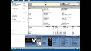 How to Import mp3s Into iTunes [upl. by Nwahsat67]