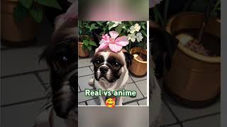 Real vs anime images doglover shorts [upl. by Lisetta]