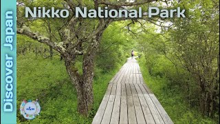 Discover Japan  Nikko National Park  Day Trip [upl. by Itoc]