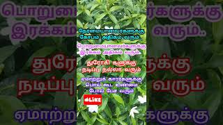 motivation varisu music song tamil lifequotes lifeline quotes quote [upl. by Miyasawa144]