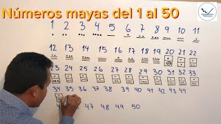 Números mayas del 1 al 50 con Profe Arturo [upl. by Rooney196]