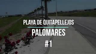 Palomares  Quitapellejos [upl. by Annia]