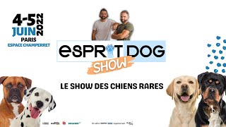 Esprit Dog Show  Le Show des chiens rares [upl. by Nelon69]