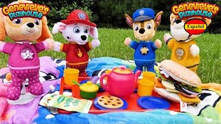 Video de aprendizaje para niños  ¡Picnic de la Paw Patrol [upl. by Gnoy]