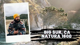 Mastin Labs Natura 1600 Preset  Photography at Big Sur CA [upl. by Strickman]