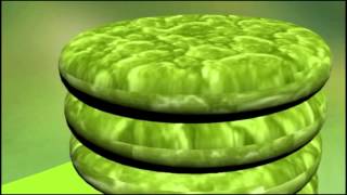 Chloroplast Animation [upl. by Jauch]