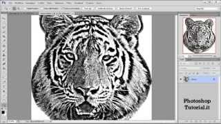 Trasformare la foto in stampa serigrafica con Photoshop [upl. by Jak]