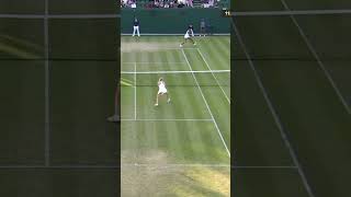 Venus Williams With a BRUTAL Backhand and Celebration 😤 shorts [upl. by Amekahs377]