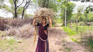 उधार में लड़ाई भंवरी देवी bhanwari devi  bhanwari  bhanwari bai ki comedy भंवरी देवी  bhavri devi [upl. by Bennet]