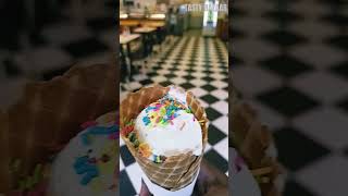 Polar Bear Ice Cream Sundaes  Guntur II Ice Cream II TASTY BAZAAR II food indianfood foodie [upl. by Assiar665]