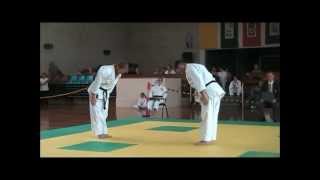 2012 Gold Coast ChitoRyu Karate Tournament  Bunkai [upl. by Obel436]