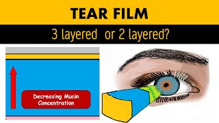 Tear Film Anatomy Biochemistry and Physiology [upl. by Ainiger446]