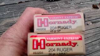 Hornady 204 Ruger 45 grain Verses 32 grain [upl. by Milak]