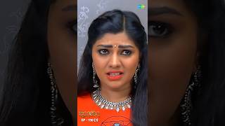 Roja Serial  Ep 110  1  Priyanka Sibbu Suryan  Saregama TV Shows Tamil shorts ytshorts [upl. by Colbert475]