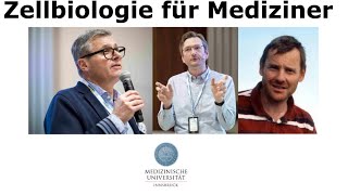 Vorlesung Zellbiologie für Mediziner Teil 10  Fortsetzung Membrantransport und Zelltod [upl. by Carmelita]