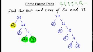 Prime factor trees  finding HCF  LCM N [upl. by Dib]