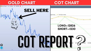 How to use COT Report in Forex Trading  read it like a PRO xauusd forex gold [upl. by Lustick]