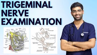 TRIGEMINAL NERVE EXAMINATION  CRANIAL NERVE EXAMINATION  NEUROLOGY [upl. by Hullda13]