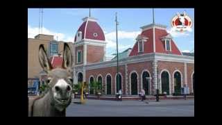 El Burro CHON 1er spot electoral Ciudad Juarez [upl. by Othella933]