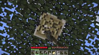 How to get Birch Wood in Minecraft [upl. by Ahsekal]