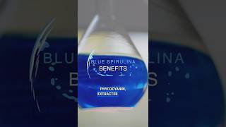 Benefits of Blue Spirulina aka Phycocyanin [upl. by Sothena]