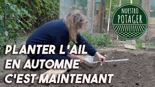 Planter lAil en Automne cest maintenant [upl. by Ailuy]