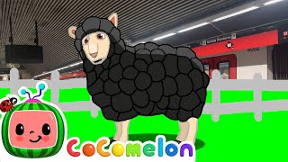 Baa Baa Black Sheep ⬛🐑  Sing Along 🎤✨  CoComelon Nursery Rhymes amp Kids Songs [upl. by Salchunas]