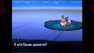 How to Catch Eevee  Pokemon Black 2 and White 2 [upl. by Annayek]