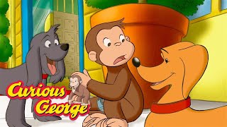 Practice Makes Perfect 🐵 Curious George 🐵 Kids Cartoon 🐵 Kids Movies 🐵 Videos for Kids [upl. by Groot]