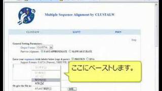 CLUSTALWで配列のアラインメントを作成する [upl. by Einnod]