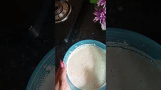 Fully veggie loded dosa 🤤shorts viral trending food gaurikitchenn [upl. by Anoek]