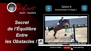 Secret du contrôle de léquilibre entre les Obstacles coachendirecthorselearning [upl. by Fugazy]