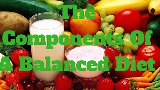 The Components Of A Balanced Diet [upl. by Aleen701]