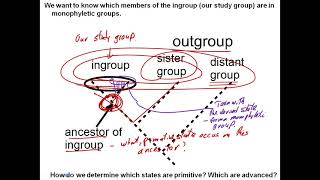 Cladistics  Phylogenetic Systematics Part 2 [upl. by Wurst15]