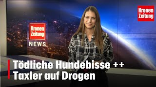 Tödliche Hundebisse  Taxler auf Drogen  kronetv NEWS [upl. by Meeharbi618]