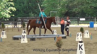 Obstacles Intro by Working Equitation Simplified [upl. by Harbed82]