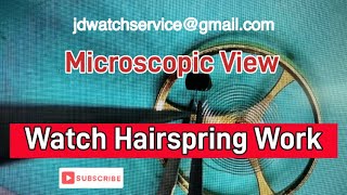 Micro Watch Hairspring Work [upl. by Nylrehc645]