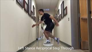 Resilient Performance PT  Left Stance Reciprocal Step Through [upl. by Gretna]