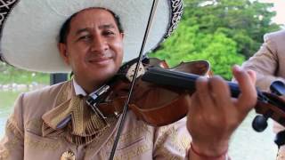 EL MARIACHI  MÉXICO LINDO Y QUERIDO  Xoximilco Cancún Música Tradición amp ¡FIESTA [upl. by Maxwell597]